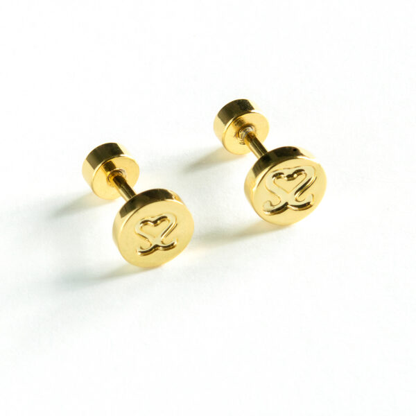 SS Stud Earrings