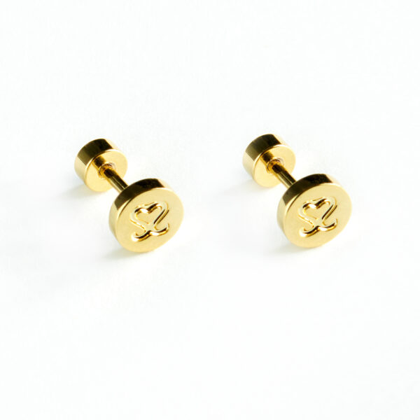 SS Stud Earrings - Image 2